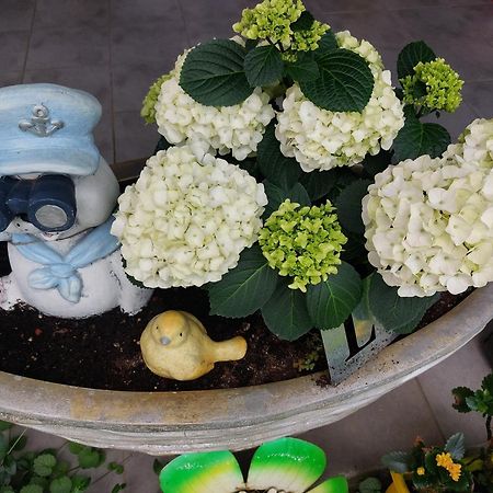 Queen House Apartman ザグレブ エクステリア 写真